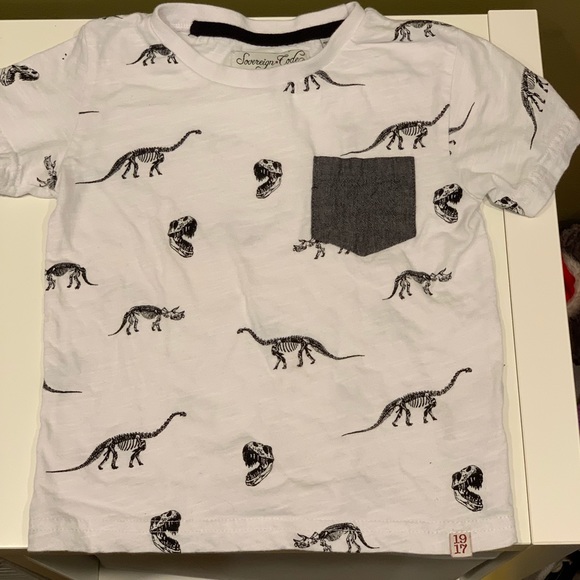 Sovereign Code Tops - Boys dinosaur Nordstrom Sovereign Codes kids t
